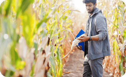 Rural Skill Development