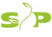 SDP